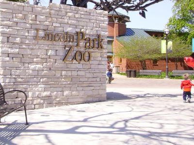 Badlands Bighorn Sheep Sage Creek Road